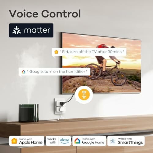 Smart home setup with voice control options for TV and humidifier.